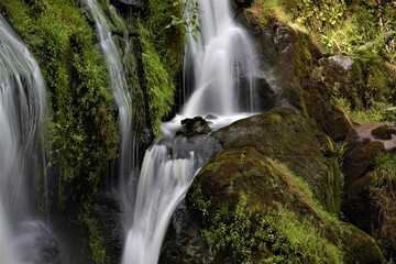 Fototapeta na wymiar Triberg waterfall in a Germain forest called the Black Forest or Schwarzwald 