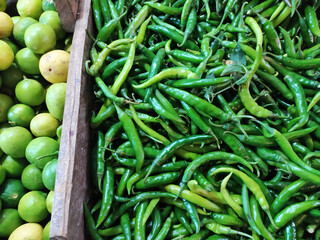 Fresh green chillies and lime separated with wood at the far - stock photo