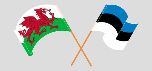 Crossed and waving flags of Wales and Estonia