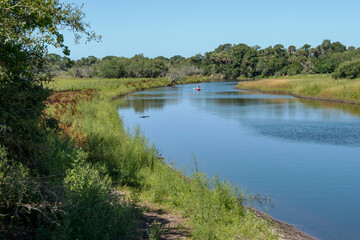 People in Kayak Approaching Alligator in Lake at Florida Park