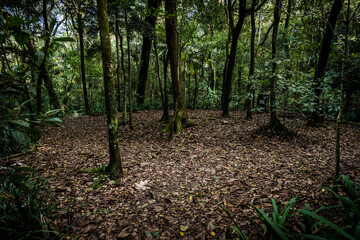 Parque Alfredo Volpi