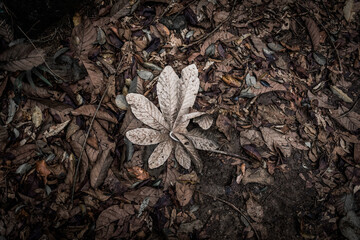 Parque Alfredo Volpi