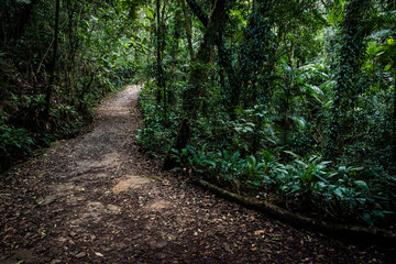 Parque Alfredo Volpi