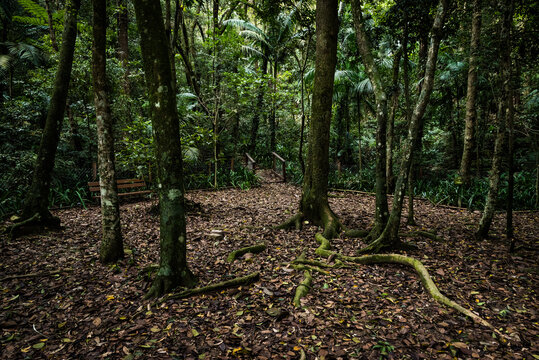 Parque Alfredo Volpi