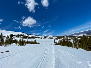 Obraz premium Ski path at the top of the mountain in Breckenridge. Flat ski trail that connects the slopes with a view of pine trees and a blue sky on a clear day.