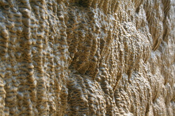 Textura de pared en río petrificado