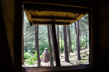 cabañas de madera en el bosque