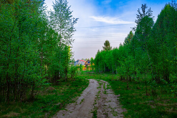 A sign on the side of a tree