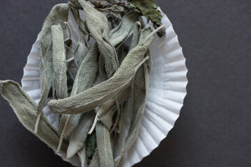 close up of dried sage leaves in a flattened paper cupcake liner on grey mat board - photographed...
