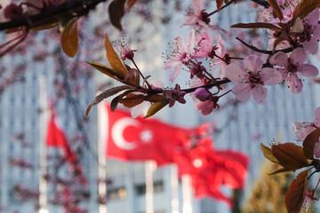 National flags of Turkey and spring blossoms in front of the Ministry of Foreign Affairs building...