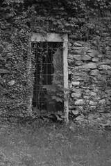 old windows in black and white
