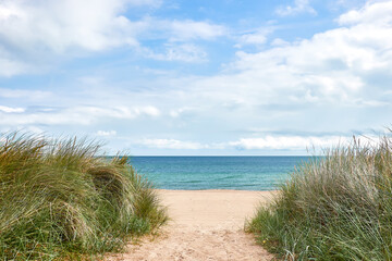 Entrance to the beach in Rugen island, Northern Germany. Romantic traveProtective grass hold sand beaches in island Rugen, Northern Germany, on Baltic sea. Entrance to the beach through coastal dunes. - obrazy, fototapety, plakaty