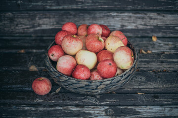 Basket with ripe red apples on a wooden bench