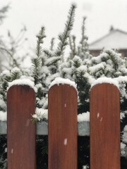 fence in snow