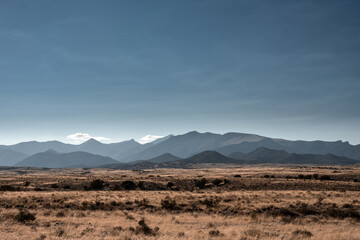 Fototapeta na wymiar Dry Grass Across Brown Field Below Mountains in Nevada