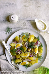 Potato salad with pickled vegetables - traditional dish of german cuisine. Top view with copy space.