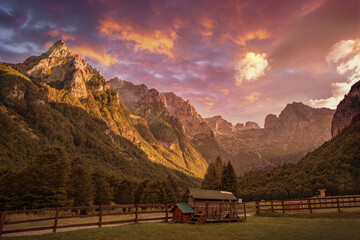 Fototapete bei efototapeten.de bestellen   