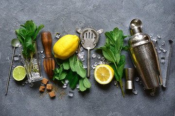 Ingredients for making citrus mojito. Top view with copy space.