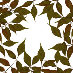 Border with autumn branches and leaves