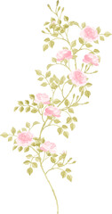 水彩で」描いたピンクの薔薇の蔓