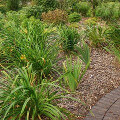Backyard Garden Modern Design Landscaping. Decorative Garden Winding Pathway Walkway From Black...