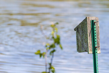 Bird house by lake A1R_7228
