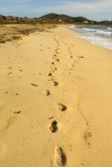Huellas de personas que dejan huellas en la arena de una playa