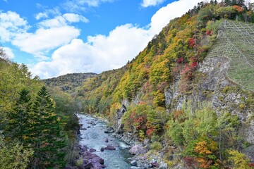 青空バックにダイナミックな川の流れときれいに色づいた紅葉のコラボ情景＠赤岩青巌峡、北海道