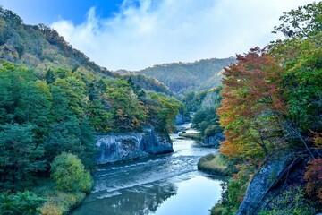 Fototapeta na wymiar 青空バックに見る川の流れと紅葉のコラボ情景＠北海道