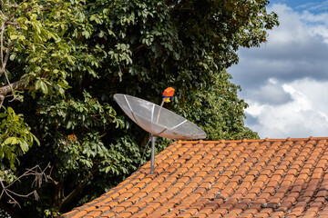 satellite dish on roof