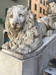 Crying lion