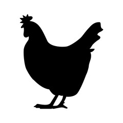 chicken icon on white background. chicken silhouette. hen symbol. flat style.