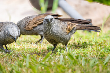 Dont even think about it