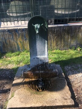 Fountain from Turin