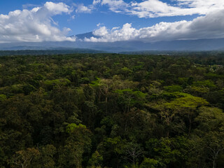 Beautiful aerial view of the tropical rain forest in Costa Rica