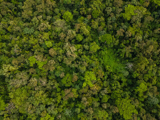 Naklejka premium Beautiful aerial view of the tropical rain forest in Costa Rica