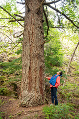 A woman looks at a giant old growth spruce tree.  Whistler BC, Canada.