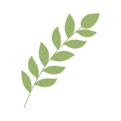 green branch foliage
