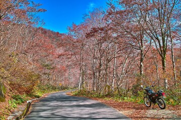 Fototapeta premium 秋の二口峠（宮城県～山形県）