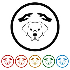 Dog care glyph ring icon color set
