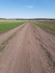Fototapeta premium Dirt country road in a green field