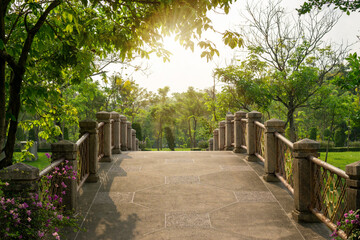 Curve concrete bridge in the park under green leaves tree, sunlight morning
