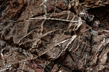 Hard rock texture, Detail of beach stone background 