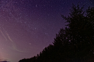 Purple night sky full of stars with Forest as background
