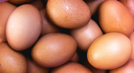 Top view of brown eggs