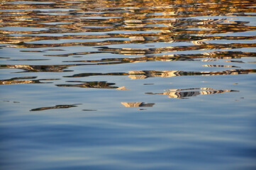 Abstract reflection of colorful Rijeka building on sea. Sea surface with gold effect.