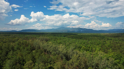 Aerial view of the forest and mountains by drone
