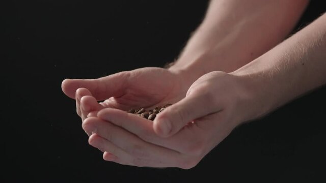 Slow motion mam pour coffee beans over balck background