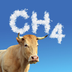 Head of cow with CH4 text from clouds at the background. The concept of methane emissions from livestock. - obrazy, fototapety, plakaty