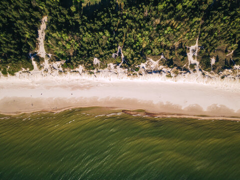 Aerial view  - sea - beach and forest. Three layers of nature. Waves - sand - pines trees. 